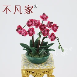 1:12 scale dollhouse Beautiful miniature Phalaenopsis Room decoration