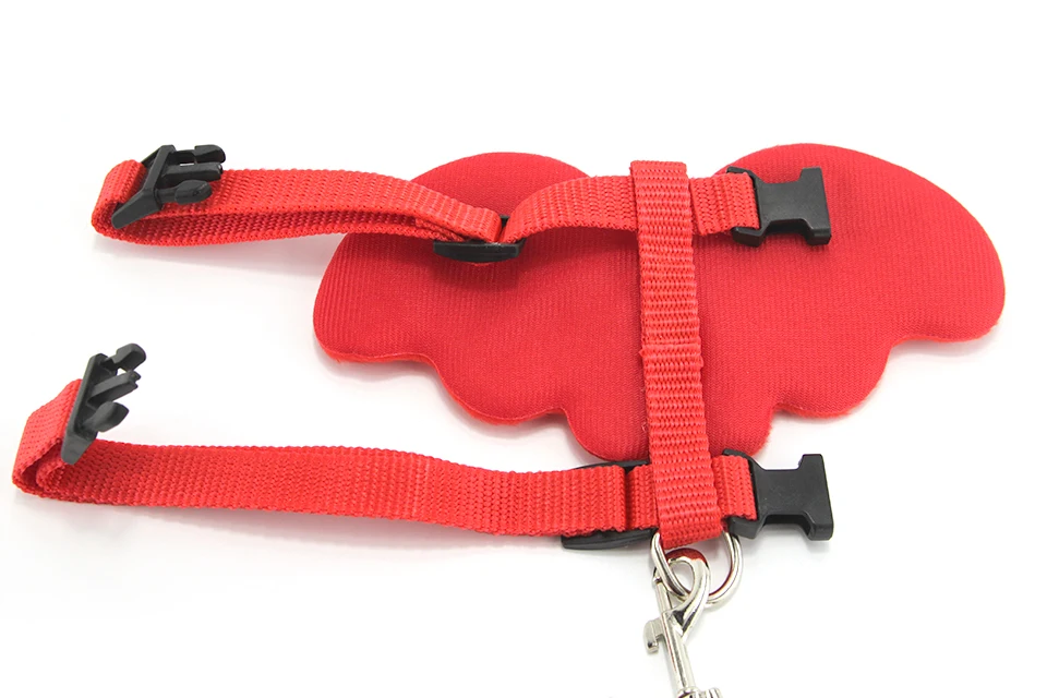 Cute Dog Leash Collar Sets Angles Wings Design Pet Dog Leash Lead For Small Dogs Cats Adjustable Dog Harness Outdoor Pet Product 102