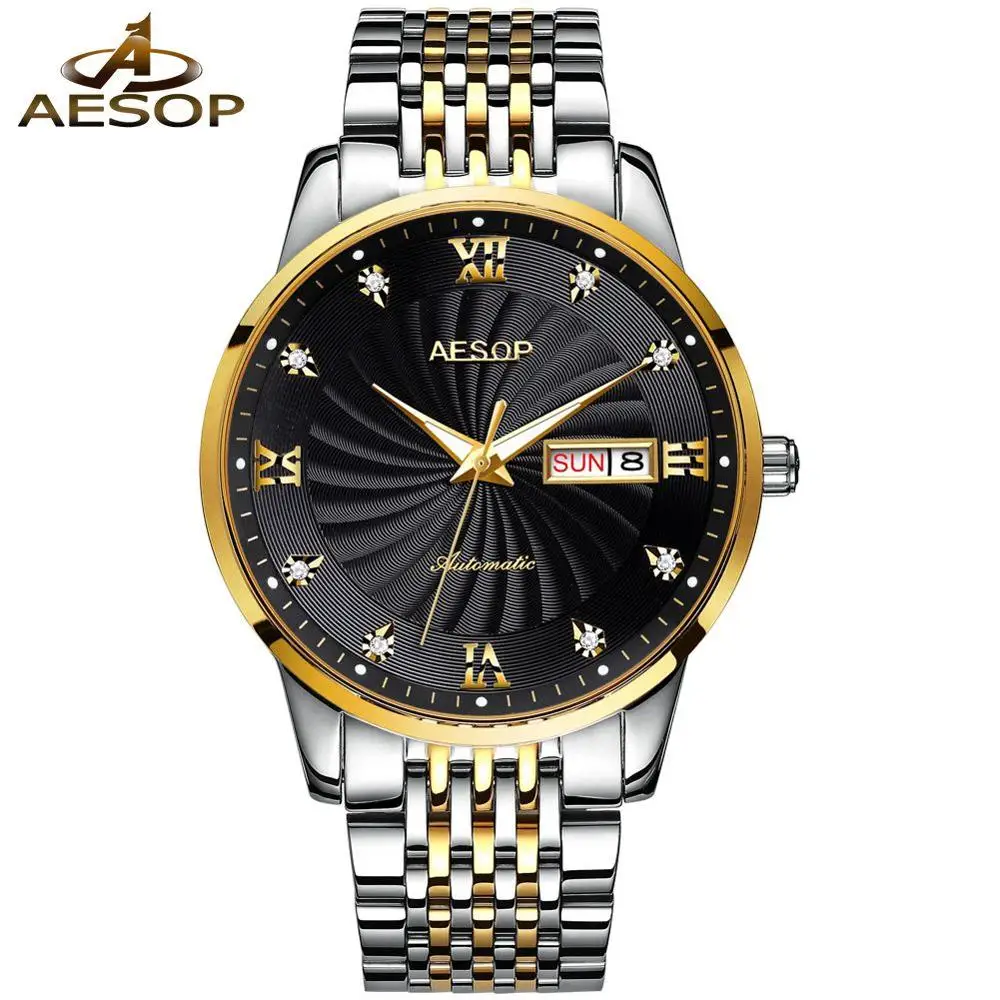 

AESOP Brand Automatic Mechanical Watch Mens Stainless Steel Classic Wristwatch Male Clock Relogio Masculino Hodinky Saati