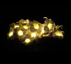 20 светодио дный имитация Яйцо цветок света строка светодио дный батарейный блок праздник свадьба Рождественские декоративные огни
