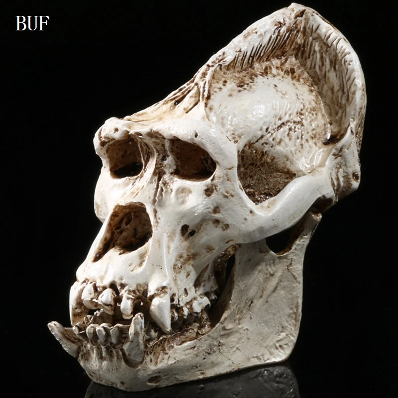 buf resin craft halloween decoration gorilla skull statues creative bar decoration skull statue sculpturechina - Halloween Statues buf resin craft halloween decoration gorilla skull statues creative bar decoration skull statue sculpturechina - Halloween Statues