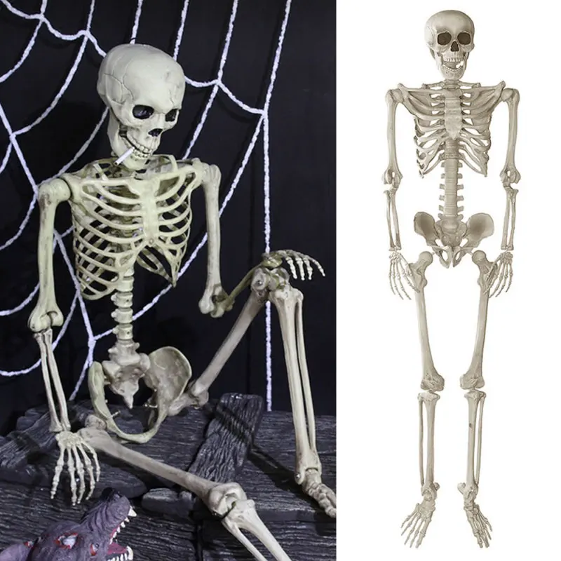 170cm-Halloween-Skeleton-Tool-Holiday-Party-Accessories-New-Hot-Holiday-Tricky-Gadget-Kit-Terror-Plastic-Halloween