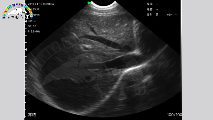 veterinary ultrasound scanner china