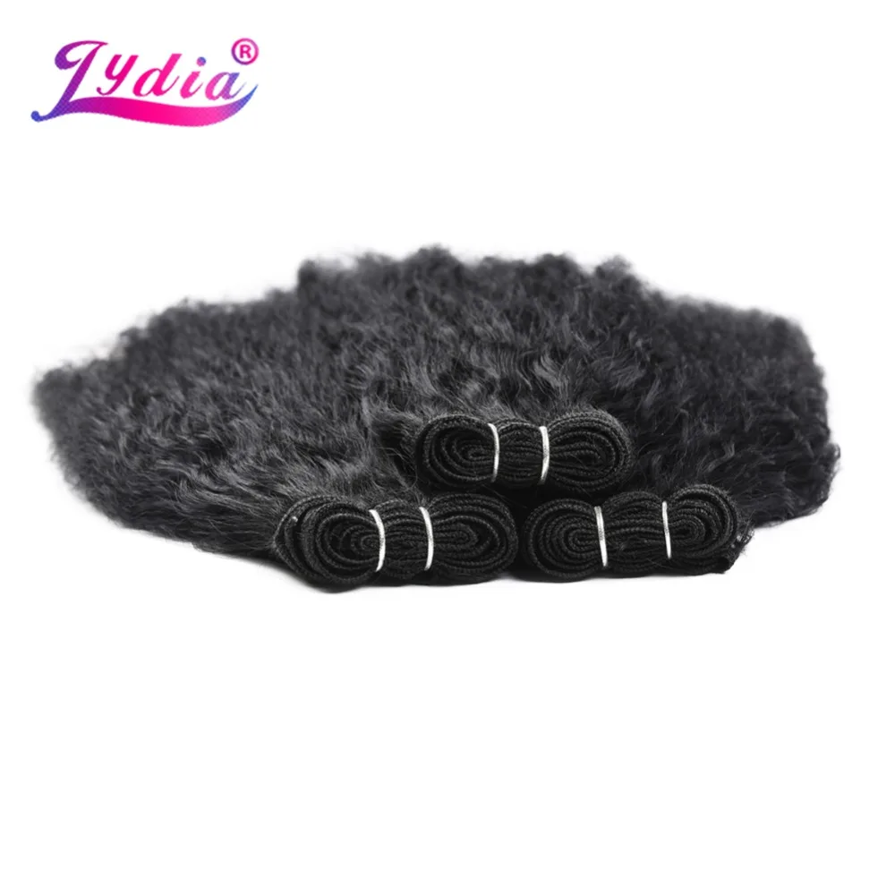Lydia 1PCS/Pack Kinky Curly Hair Weaving 18-24 Inch Wavy Synthetic Hair Extension For Black Women Bundles Bohemian Kinky Curly