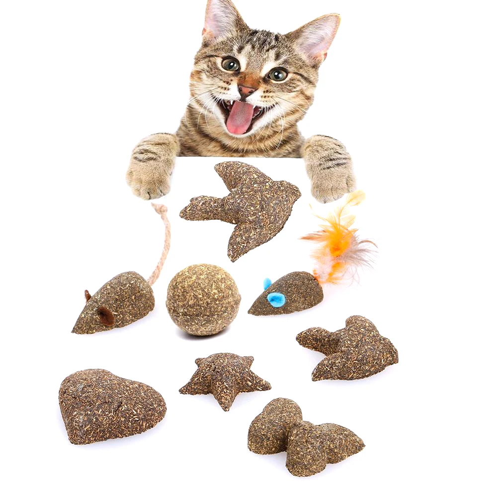 

6 styles Pet Cat Natural Catnip Toys Fake Mice Clean Mouth Add Vitamins Kitten Mint Ball Interactive Tool Cat pet Suppies