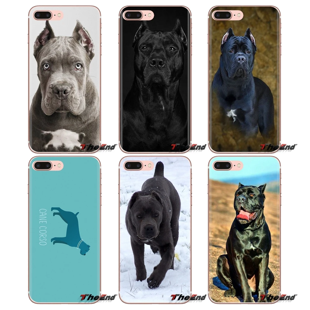 

Transparent TPU Shell Case For iPod Touch Apple iPhone 4 4S 5 5S SE 5C 6 6S 7 8 X XR XS Plus MAX Italian dogs Cane Corso mastiff