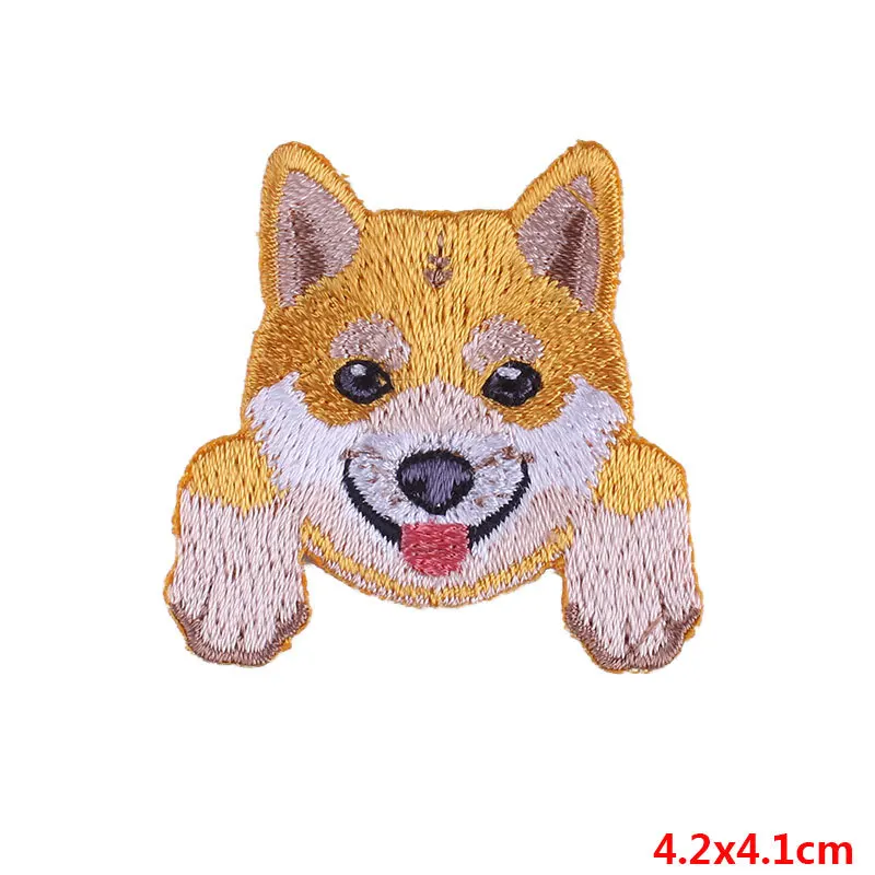 PE2218CT