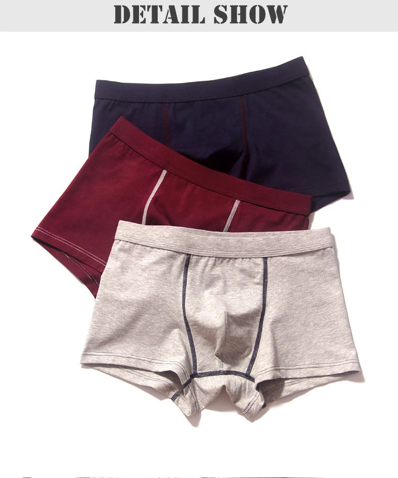 2pcslot Men Underwear Cotton Panties 4XL Cueca Hombre Calvn Boxer Underwear Men Brand Underpants Boxer Shorts 365 Mens Trunks06