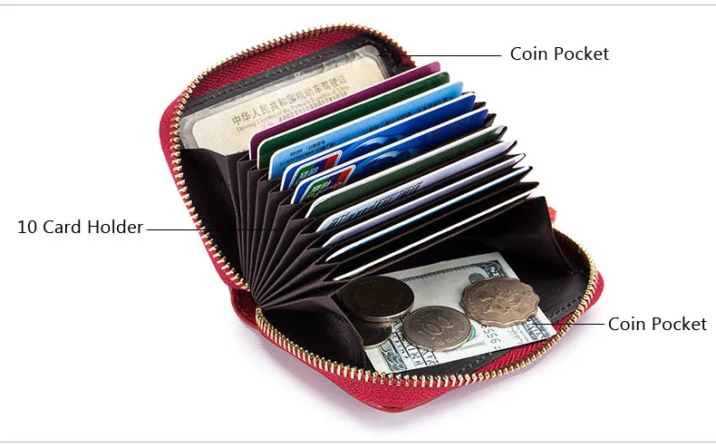 CARD HOLDER (3)