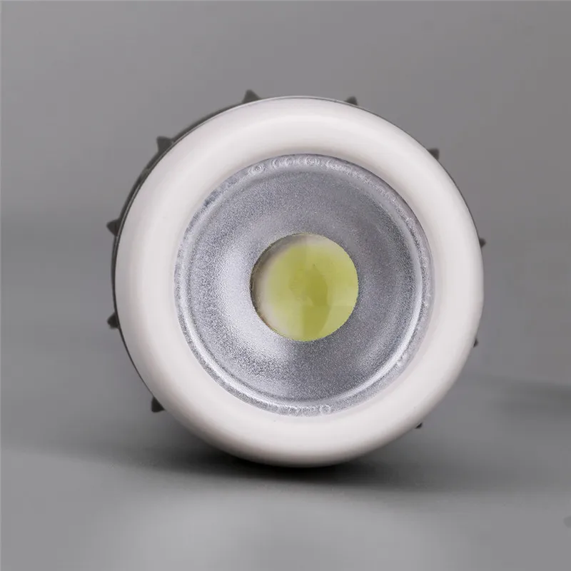 TORCH (6)