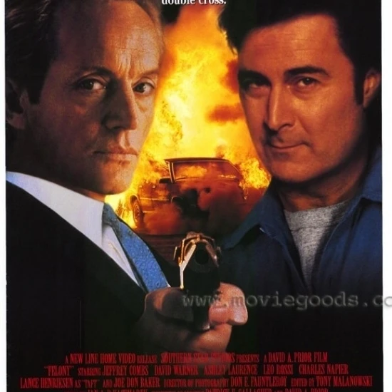 Felony Movie Poster (27 x 40)