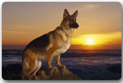 Memory Home Fashion Custom Cute German Shepherd Dog Rectangular