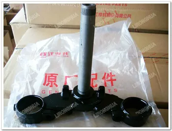

Qianjiang Motorcycle Accessories Blaupunkt QJ150-19A/C Dragon Dragon QJ150-17A Direction of Lower Plate Column