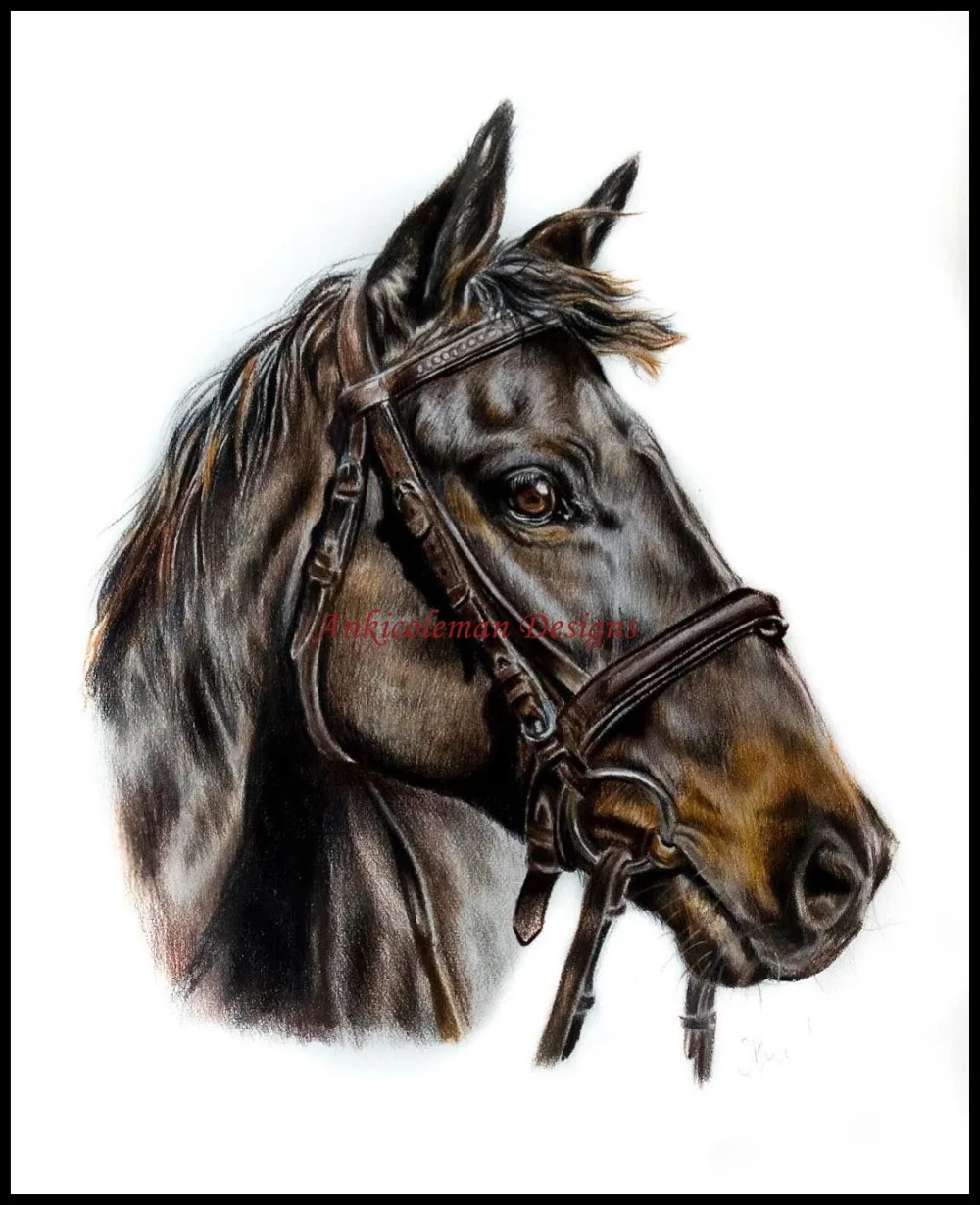 Наборы для вышивки крестиком 14 ct DMC DIY Искусство ручной работы Декор-Pretty Horse 2 | Дом