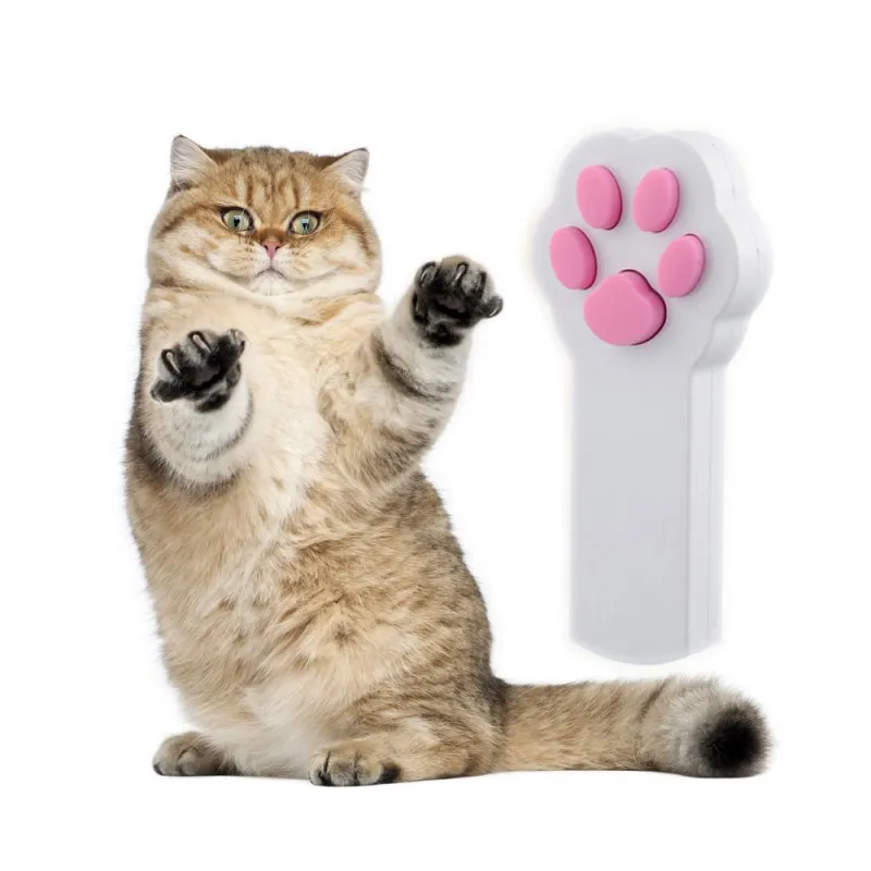 remote control car for cats