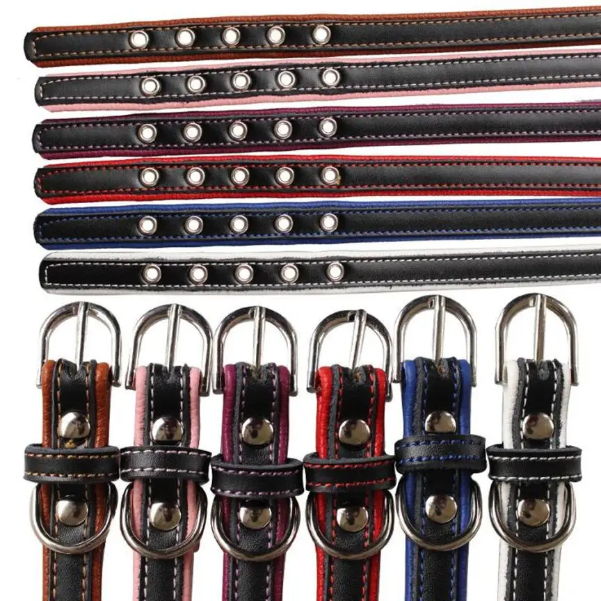 Hot Dog Collar Exquisite Diamond Adjustable Rhinestone Buckle Dog Puppy Pet Collars Pet Products