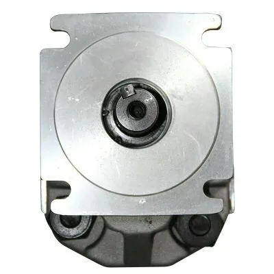 XCMG crane triple gear pump 16 tons 20B gear oil pump hydraulic motor original authentic