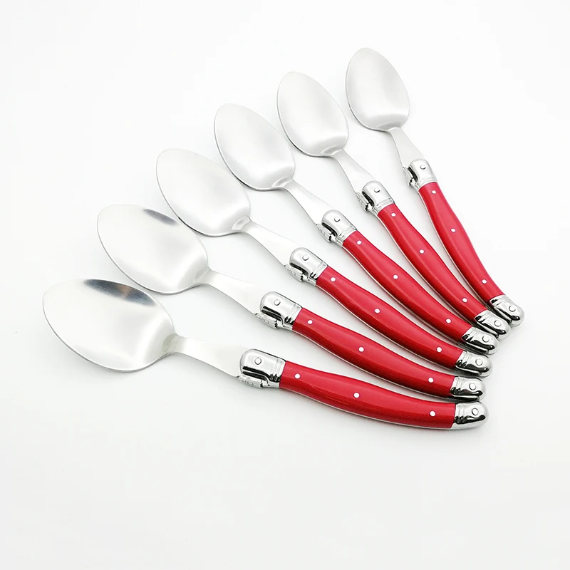 laguiole dinner spoon set (5)