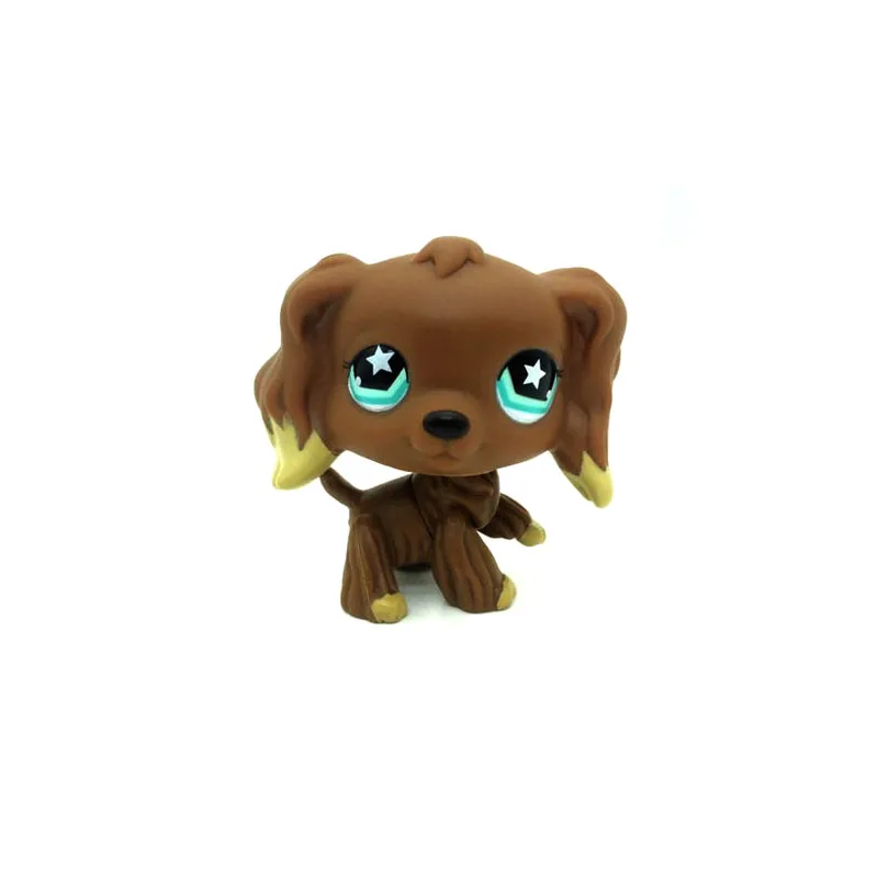 StarEyesBrownCoker