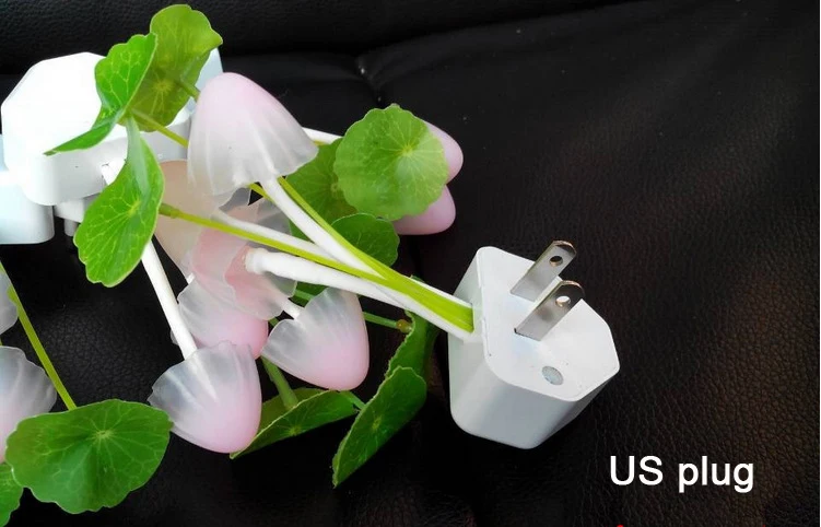 2022035112_1894273605