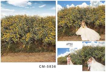 

Rustic Outdoor Yellow field of Flower Sky backdrop Vinyl cloth High quality Computer printed wedding Photography Backgrounds