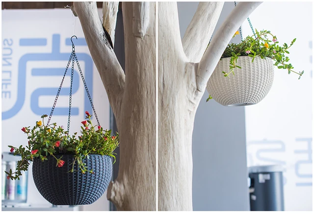Growers Wall Hanging Basket Indoor Outdoor Sky Planter Round Plastic Garden Plant Decor Flower Pots with Chain Home Indoor Decor