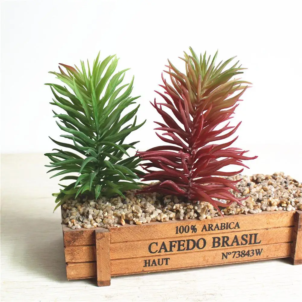 

Creative DIY Accessories Plastic Artificial Succulents Craft Floristry Artificial Plants Dianthus Chinensis L For Decoration