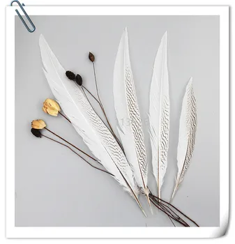 

100pcs White Pheasant Silver Feather Tail 10-15cm smalll Pheasant tails lady amhurst pheasant tail Feathers for carnival decor
