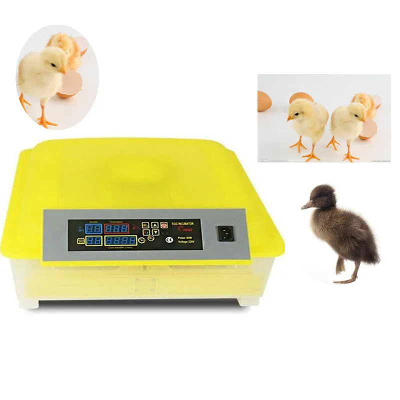 

Automatic Egg Incubator China 48 Digital Clear Egg Turning Temperature Control Farm&home Hatchery Machine chicken egg Hatcher
