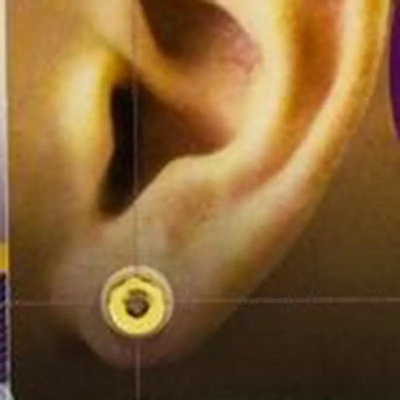 Women Men Slimming Earring Unisex Magnet Ear stud Earring Acupuncture Massage Acupuncture Ear Magnetic Slimming Earrings Z00 Women Men Slimming Earring Unisex Magnet Ear stud Earring Acupuncture Massage Acupuncture Ear Magnetic Slimming Earrings Z00