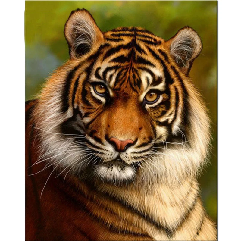 100% Full 5D Diy Daimond Painting "Animal Tiger" 3D Diamond Painting