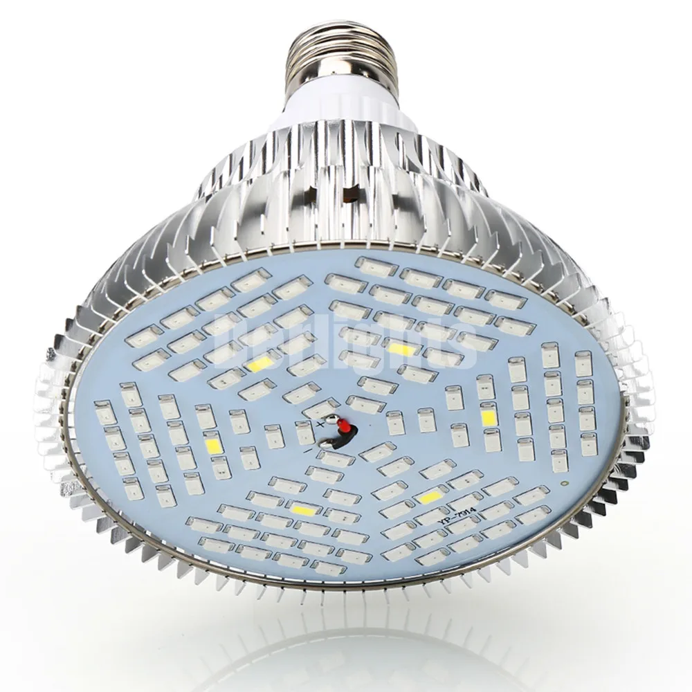 Luzes LED crescimento plantas