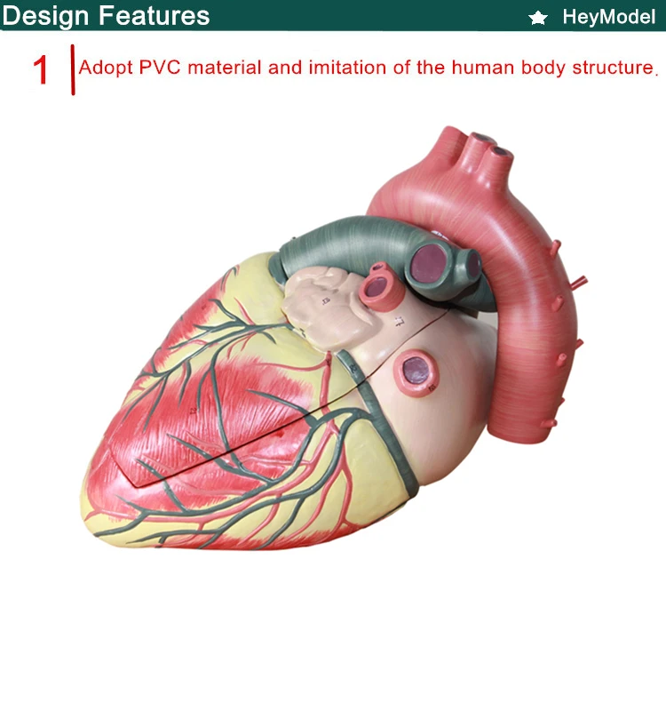 1.PVC_