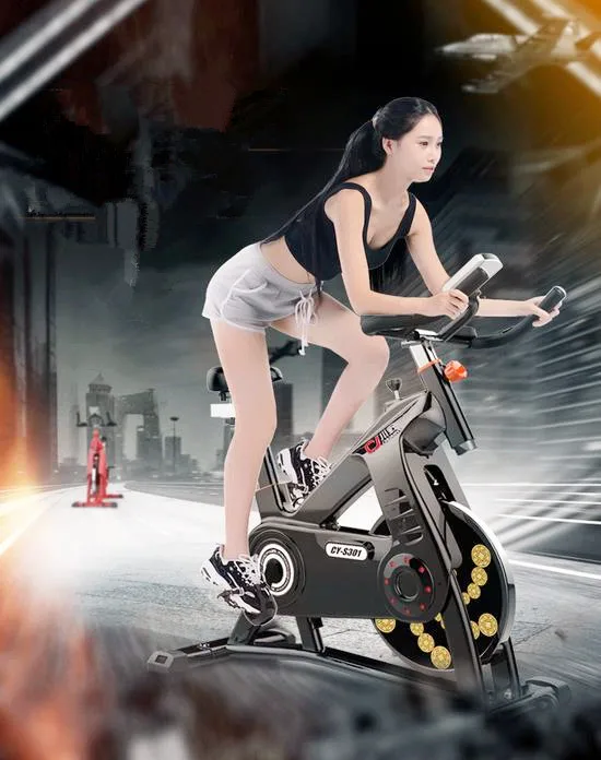 

Christmas present gifts Good Quality free shipping hot sale Gym exercise bike Spinning bike indoor cycling bike