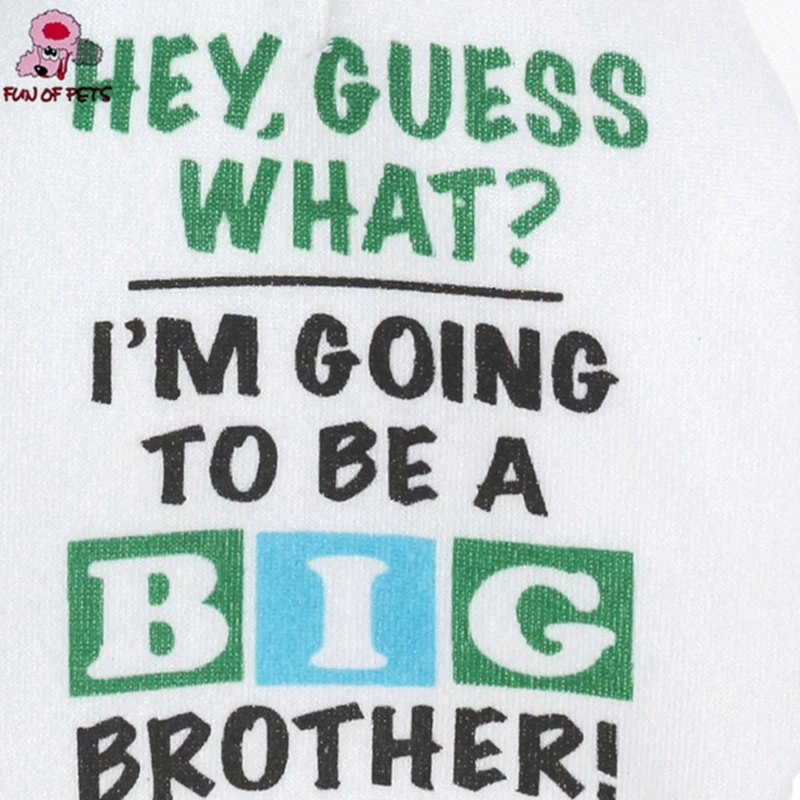 Новая модная осенне-зимняя крутая футболка с рисунком «BIG BROTHER!» Одежда для домашних животных с капюшоном для собак, одежда для щенков