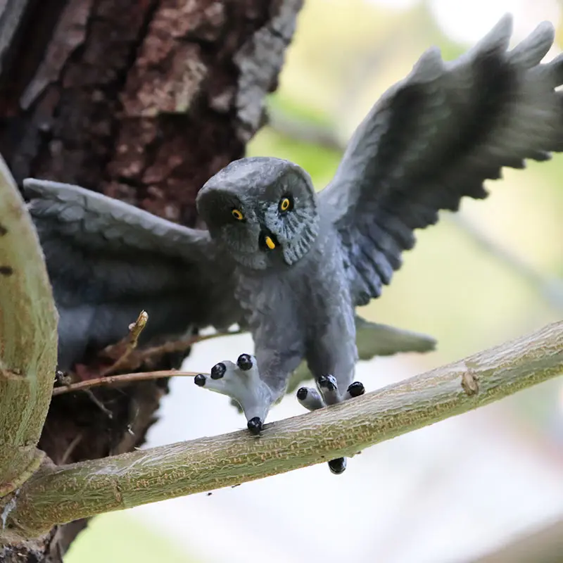 HTB1ihoDayzxK1RjSspjq6AS.pXaI