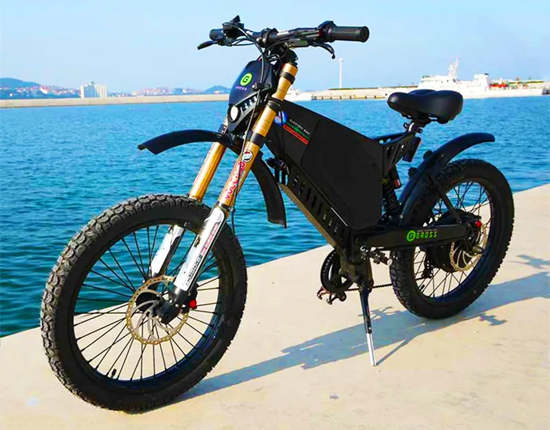 Bicicleta Eléctrica personalizada DIY
