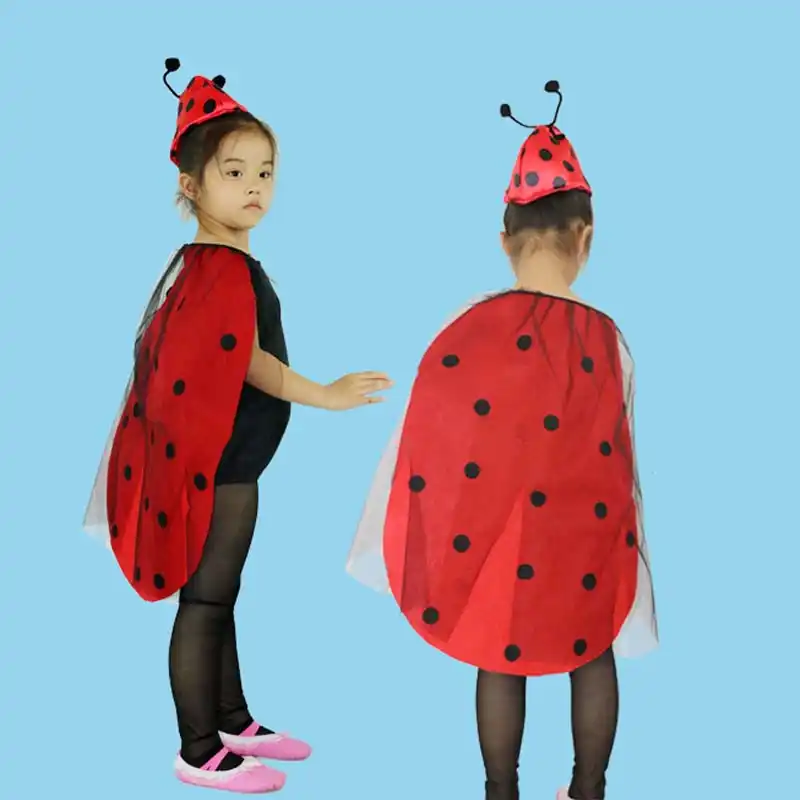 childrens ladybird costume