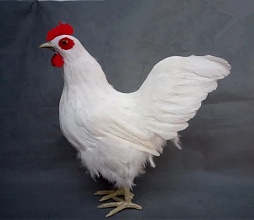 simulation cute white cock 38x17x43cm model polyethylene&furs chick model home decoration props ,model gift d432