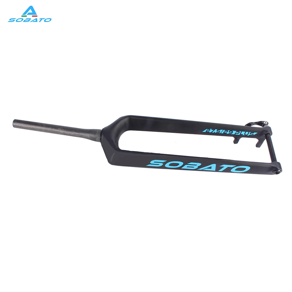 15*110mm 29er plus rigid fork internal brake hose routing mtb carbon