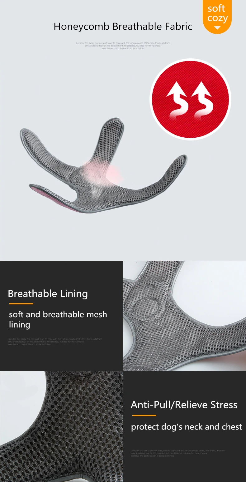  Dog Harness (31)