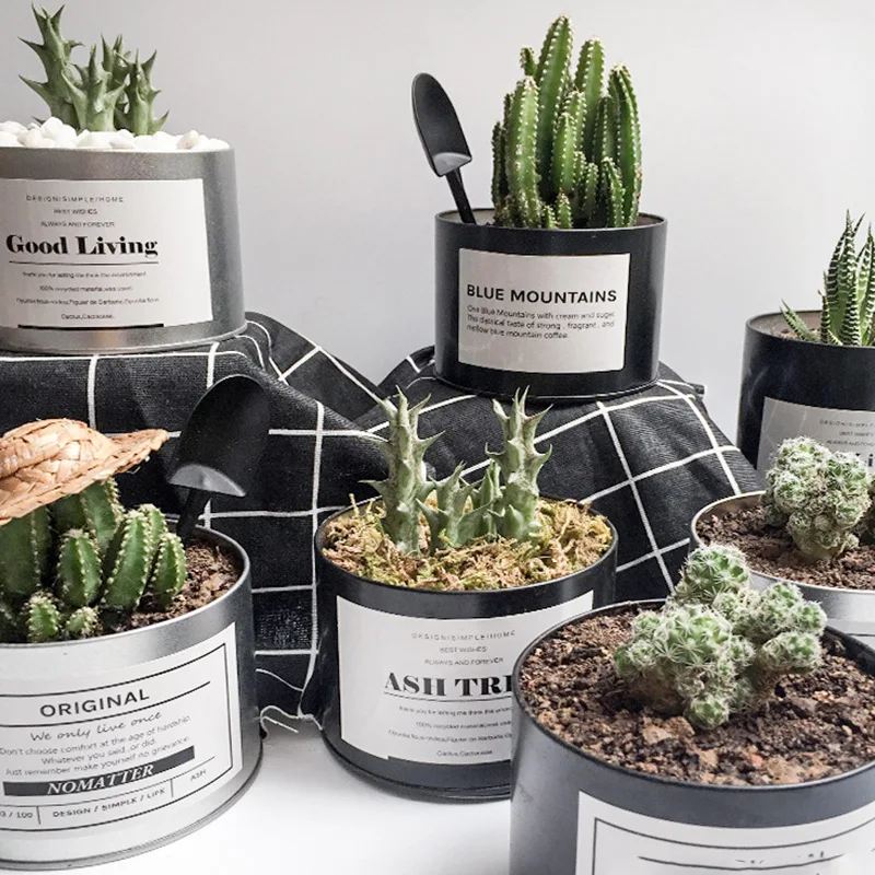 OUSSIRRO INS Nordic Style Metal Can Cylinder industry DIY Plant Holder Desk Organizers MultiUse Vens Office Decor Supplie Europe