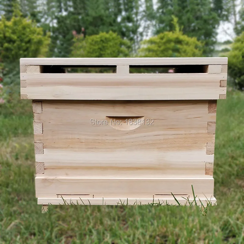 2 шт. улей для пчел|beehive|beehive bees |