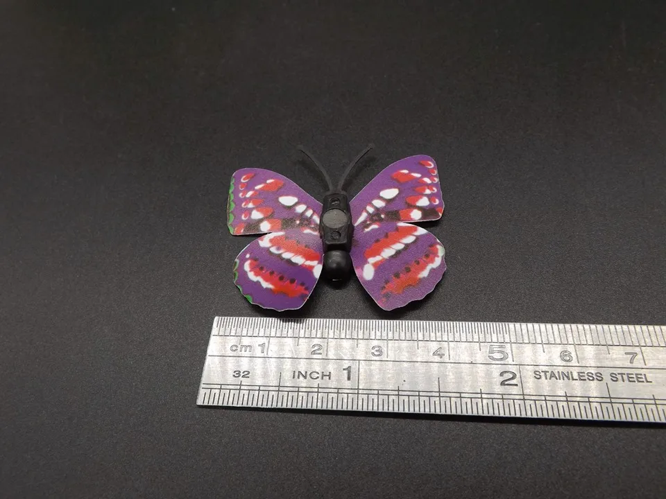 I247-Butterfly (13)