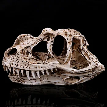 

Resin Cryolophosaurus Skull Model for Kids Birthday Gifts Toys School Medical Teaching Resources Halloween Dinosaur Skull Mold