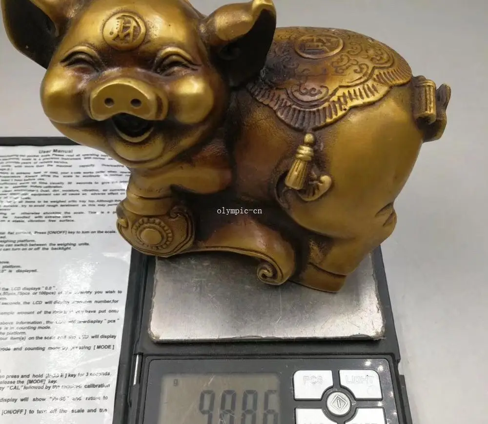 Scat Pig