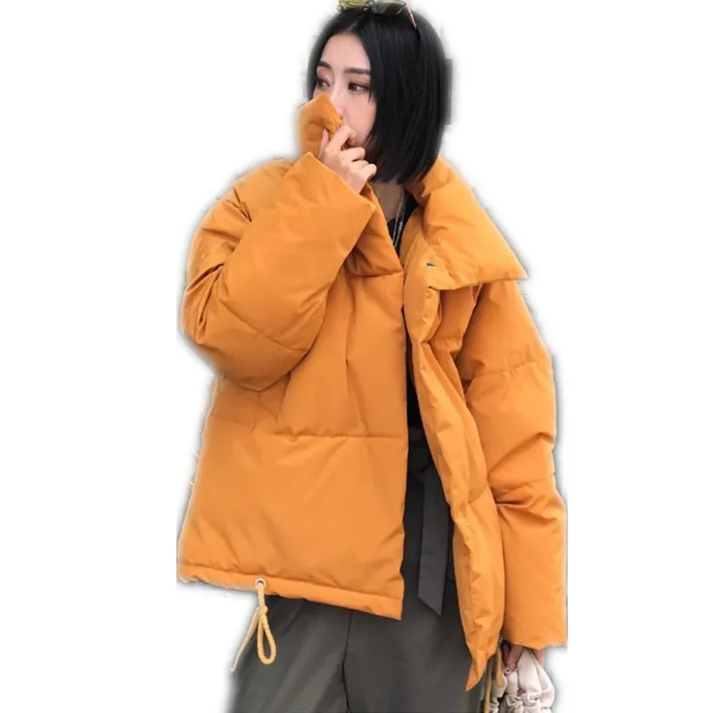 Новинка 2019 зимние женские свободные короткие куртки пальто с отложным