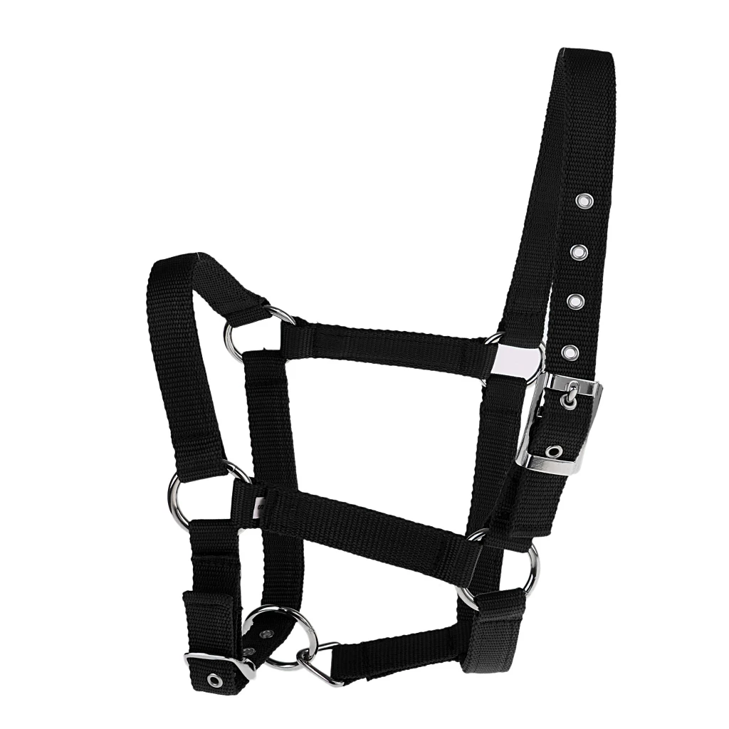 Strong and Durable Adjustable Webbing Equestrian Horse Halter Horse Riding Wear Adjustable Equestrian Horse Halter 