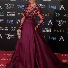 Vestido Де Феста Вино Красное Бальное платье С Длинным Sheer Рукавом Red Carpet Платья Тафта Развертки Поезд Платья Знаменитостей Свадебные Платья