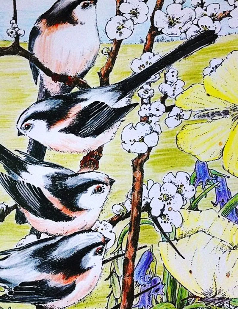 Foresta incantata Siepi Anno Aurelian Libro Da Colorare Per i bambini Adulti Graffiti Pittura Illustrazione arte antistress Colouring Libri in Foresta